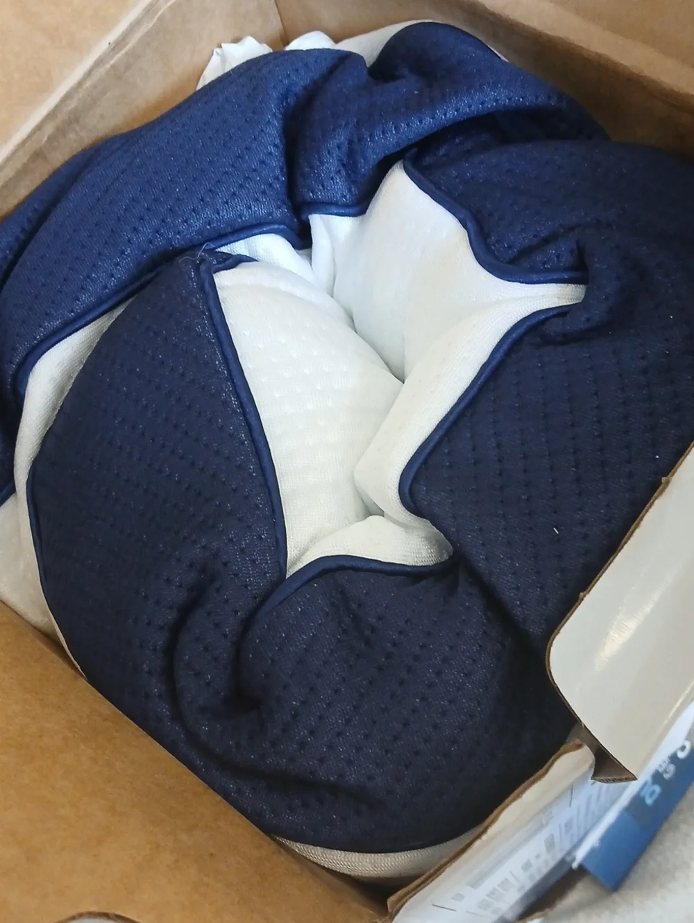 Dual Comfort Gel Memory Foam Cool Bed Pillow - White/Blue